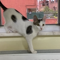 Çok tatlı akıllı yavru kız