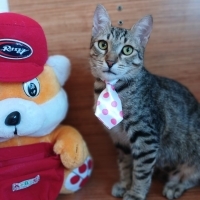 BUNCA MÜC..