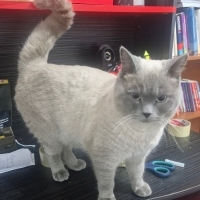 Çok yakışıklıy...