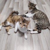 ÖMÜRLÜK YUVA A...