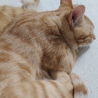 ÖMÜRLÜK YUVA A...