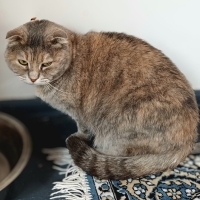 Cici kızı..