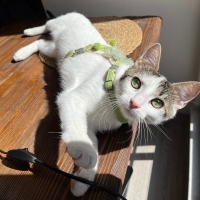 1.10 Cafer Ömürlük Yuvasını Arıyor