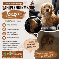 Acil Kızı..