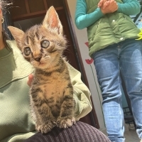 BU GÜNÜN..