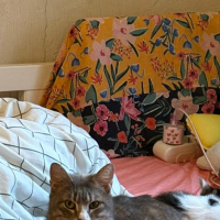 Yıllardır..