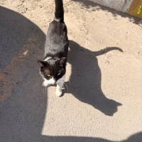 BARINAĞA GİTMESİN