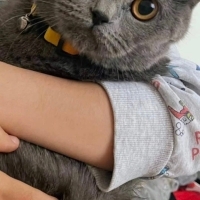 Luna yuva..
