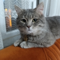 Çok uysal..