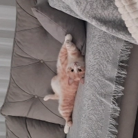 BU ÇOCUĞUN ŞANSI OLUN LÜTFEN !!