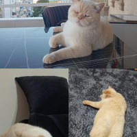Çok sakin..
