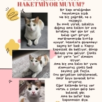 Ömürlük Y..