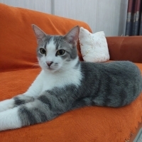 Çiçek kız..