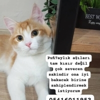 Sakin ,oy..