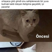 TERK EDIL..
