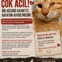 🚨 ACİL Y..