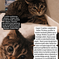 CASPER 7..