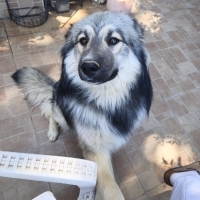 Border Co..