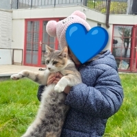 8 aylık e..
