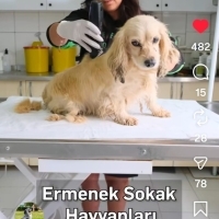 3 yaşında..