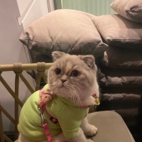 Mila 4 ya..