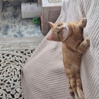 Melege yuva arıyoruz