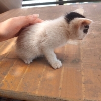 Minik beb..