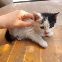 Minik beb..