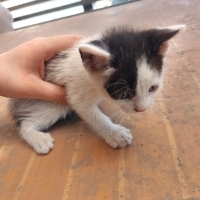 Minik beb..