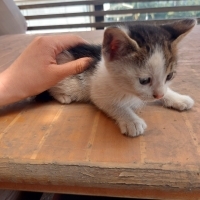 Minik beb..