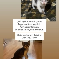 Sıcak yuv..