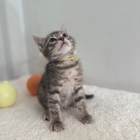 Çok tatlı..