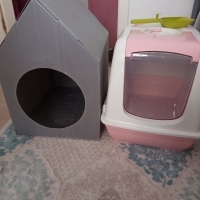 Kedi tuva..