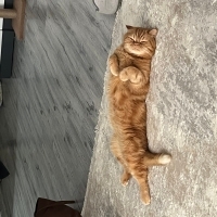 Sevecen,..