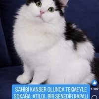 SAHİBİ KA..