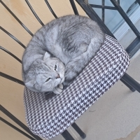 Sıcacık b..
