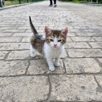 2 Aylık B..