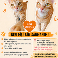 Eriyen çe..