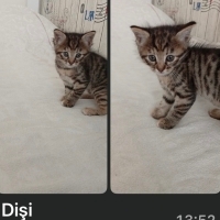 Minik bebeğe yuwa