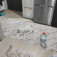 Oğluma yu..
