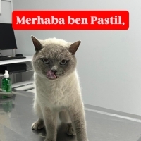 PASTİL AC..