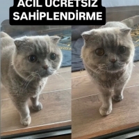 Oğlumun a..