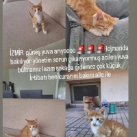 🧨Yuvası..