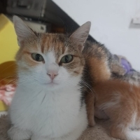 Güzel kız..