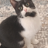 YUVA ÇIKM..