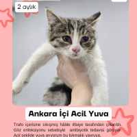 ANKARA TR..