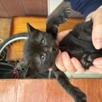 KARA OĞLUMUZA YUVA