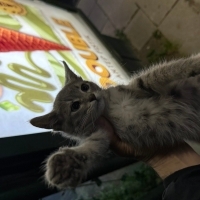 otobus duraginda yaşıyor  tek başına