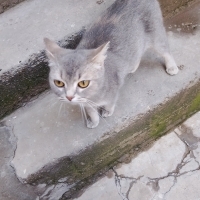 TAŞINIRKE..
