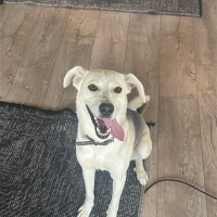 Rus Sahib..
